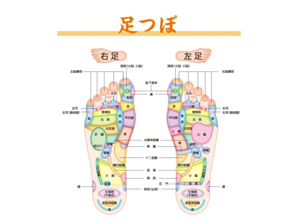 腸内環境を整えるツボ